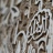 Ecriture sur un mur de l'Alhambra de Grenade (détail). Photo de Alexandre Buisse